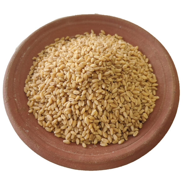 Gothumai (Wheat)