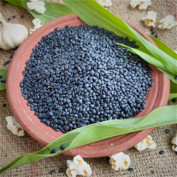 Mulaikattiya Karuppu Kollu (Sprouted Black Horse Gram) - 1 kg