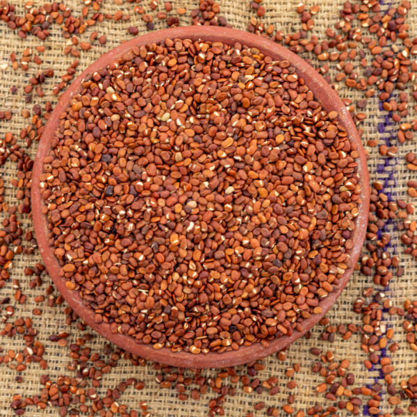 Mulaikattiya Kollu (Sprouted Horse Gram) - 1 kg